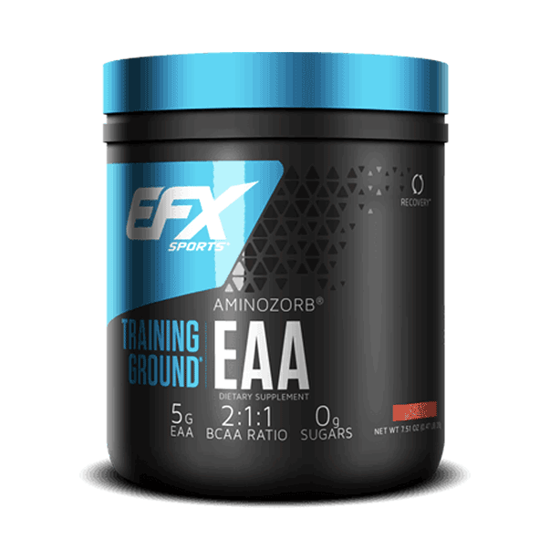 EFX TRAINING GROUND EAA 213g.